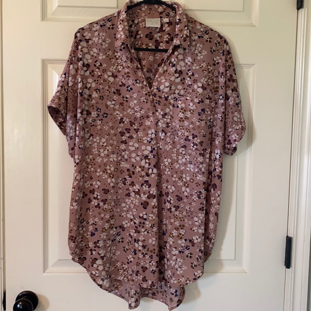 Long collared tunic top.